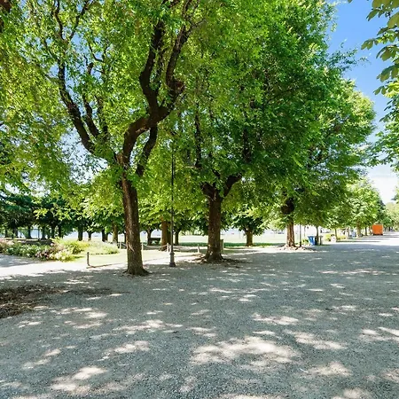 Iris Maggiore Lejlighed