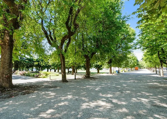 Iris Maggiore Lejlighed